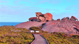 Kangaroo Island Experience